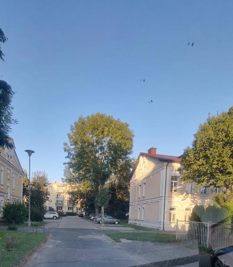 Apartament Kresowy Parter 3 Pokoje Duza Lazienka Kabino-Wanna Spa Wi Fi Ekspres 2X Smart Tv Antresola Parking Free Plac Zabaw Bilet Na Aquapark 150M W Cenie Hrubieszow Exterior foto